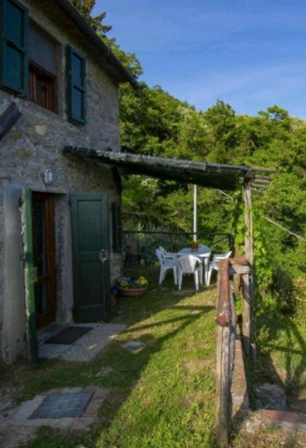 Casa Serena Villa Petrognano  Exterior photo