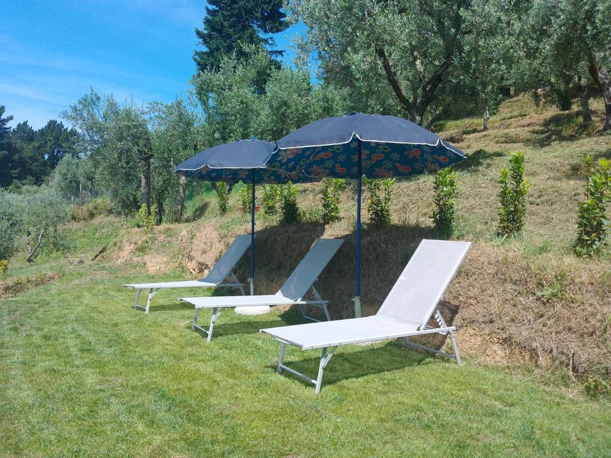 Casa Serena Villa Petrognano  Exterior photo